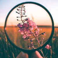 Елизавета Пфанцлер