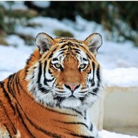 Светлана Г.