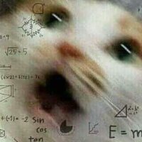 Соня Самойлова ДМТ