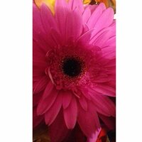 ольга морякова