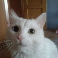 Сергей Сергеев