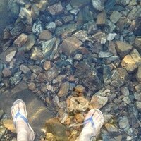 Юрий Исаков