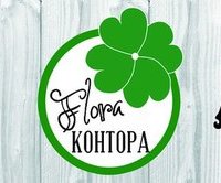 Flora Kontora