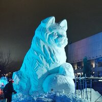 Настя Морозова