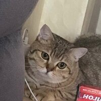 Ярослав Зерщиков