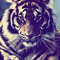 Елена Харманюк