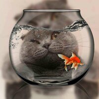 Наталья Иванова