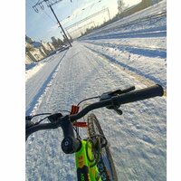 Александр Пономарев