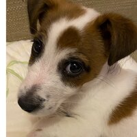 Анастасия Фёдорова