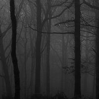 Анатолий Рафаилович