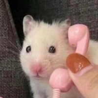 Александр К.