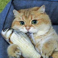 Женя Трофимов