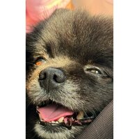 Александр С.