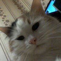 Don'tDisturb\НеБеспокоить