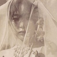 софи гоголь