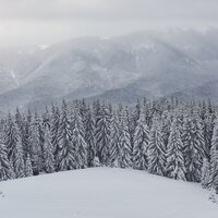 Максим