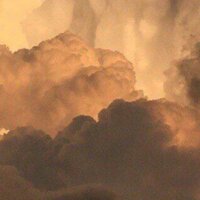 Карина Тимофеева