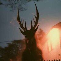 Владислав Сергеев