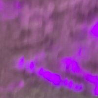 Эльнара Махмут