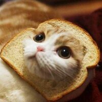 Маша Куприянова