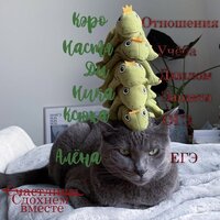 Ксения Кантор