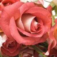 татьяна губанова