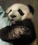 Анастасия А.