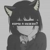 kcva61tvketn77fwh5h8y5yqp8
