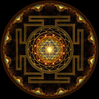 Светлана Ш.