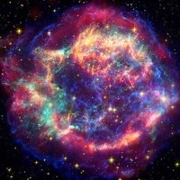 Дарья Трапани