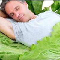 Кристина Михедько