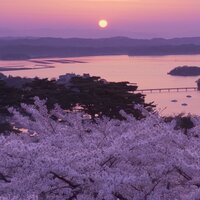 Семья Пирожук