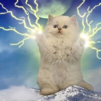 мася трамвай