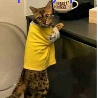 Иван Огнивов