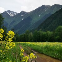 Анна С. Московская область