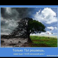 Алексей Сергеев