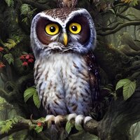 Ксения Морозова