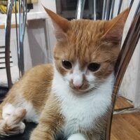 Анастасия Владимировна