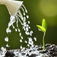 Алексей Игоревич