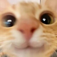 Дмитрий Лабутин