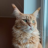 Мария Орышич