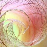 Вера Минина