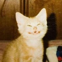 Дубовец Валерия