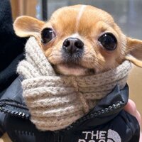 соня выхристюк