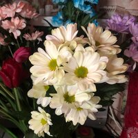 Ирина Иванова