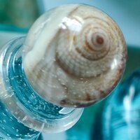 Смоляной Бычок Resin Taurus