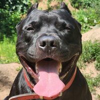 Максим Жаринов