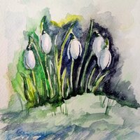 Тамара Нечаева