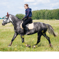 Анастасия З.