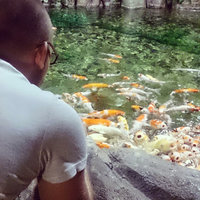 Денис Паршков